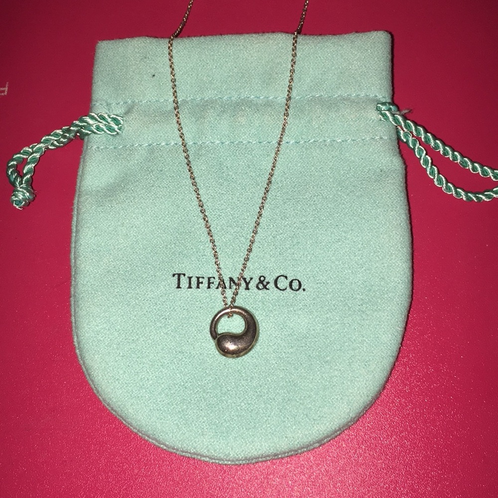 Eternal Circle Pendant and Chain